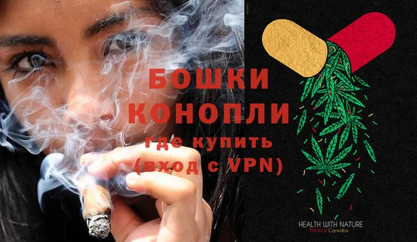 гидра Каменск-Шахтинский