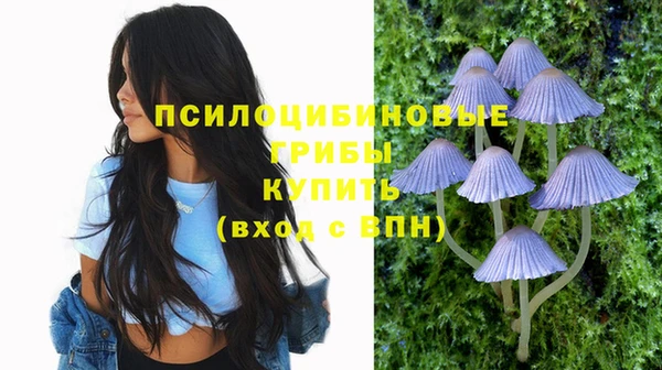 мяу мяу кристалл Каменногорск